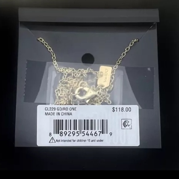 COACH X Tom Wesselmann Designer Lips & Lipstick Pendant Necklace 16” + 2” NEW - Picture 5 of 5